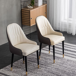 Stylish & Durable Serapion Dining Chairs - Free Shipping On Each Order Beige