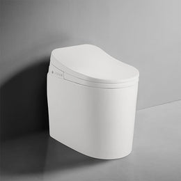 Small Size Smart Toilet One-Piece Elongated Floor Mounted Automatic Toilet Self-Clean White