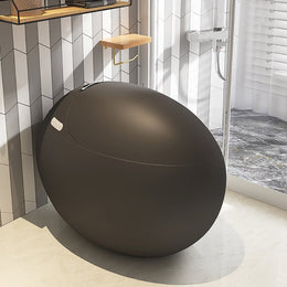 Modern Egg-Shaped Smart Toilet with High Version Black